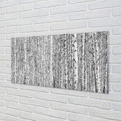 Glass print Black and white forest