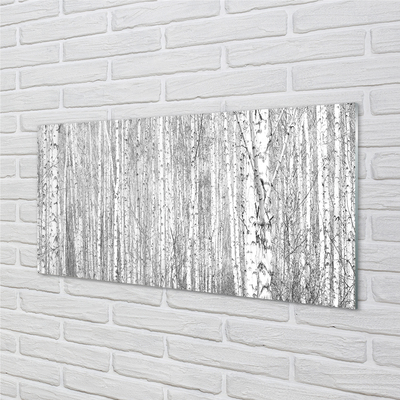 Glass print Black and white forest