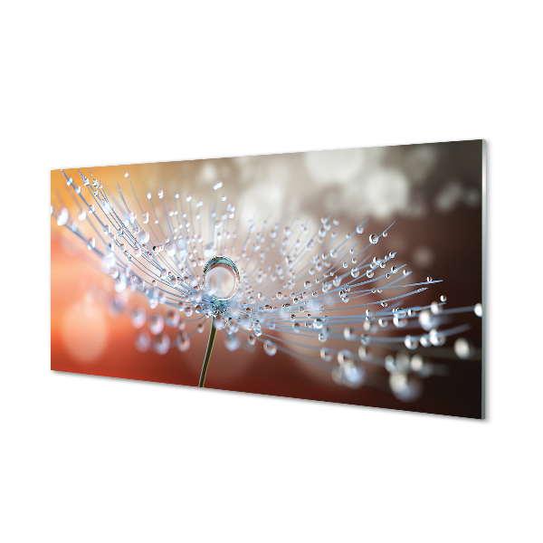 Glass print Dandelion macro drops