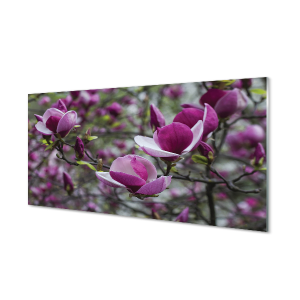 Glass print Purple magnolia