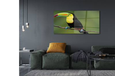 Glass print Parrot on a branch colored