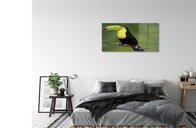 Glass print Parrot on a branch colored