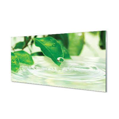 Glass print Water drops leaves