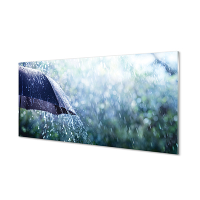 Glass print Umbrella raindrops