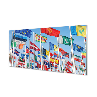 Glass print Many flags