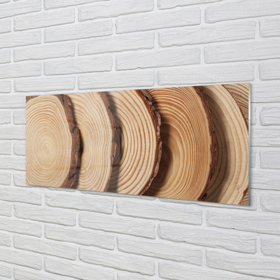 Glass print Slices of wood grain