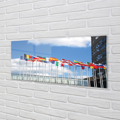 Glass print Several flags
