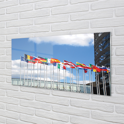 Glass print Several flags