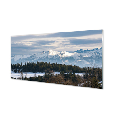 Glass print Winterberg