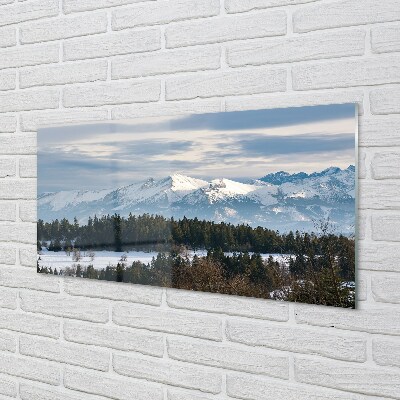 Glass print Winterberg