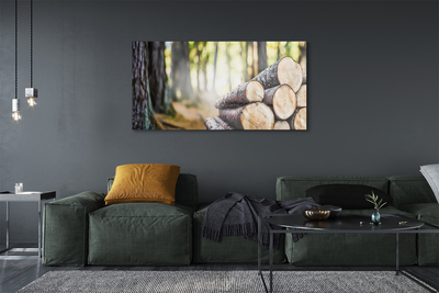 Glass print Natural forest wood