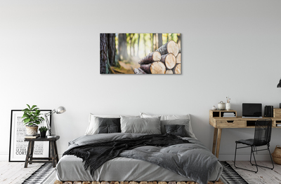 Glass print Natural forest wood