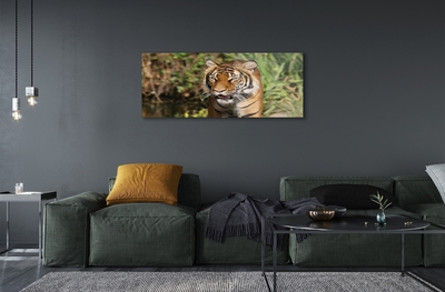 Glass print Tiger woods