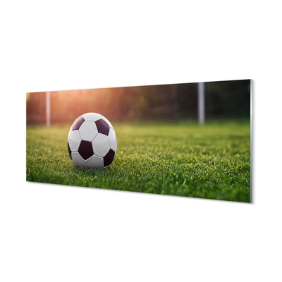 Glass print Grass football gateway