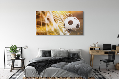 Glass print The yellow ball grass background
