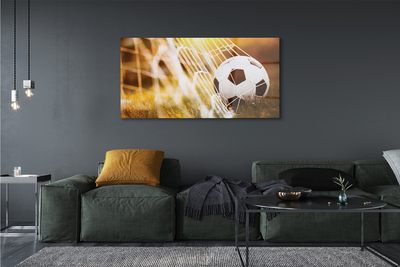 Glass print The yellow ball grass background