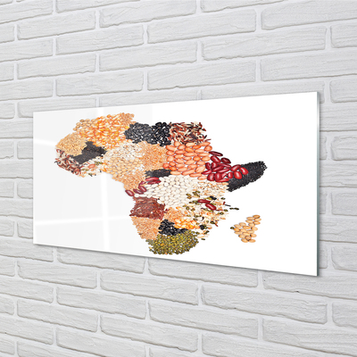 Glass print Spices map