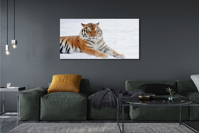 Glass print Tiger winter