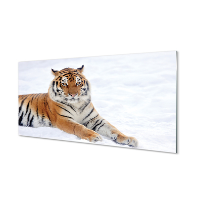 Glass print Tiger winter