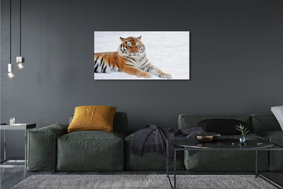 Glass print Tiger winter