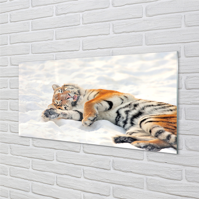 Glass print Tiger winter