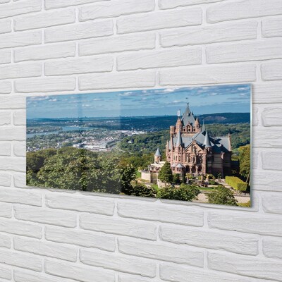 Glass print Germany panorama of the castle of the city