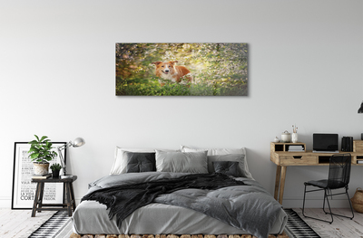 Glass print Dog flowers forest