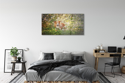 Glass print Dog flowers forest