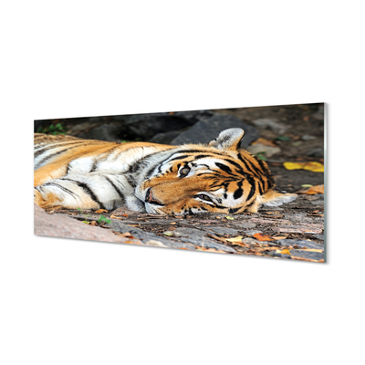 Glass print Tiger lying