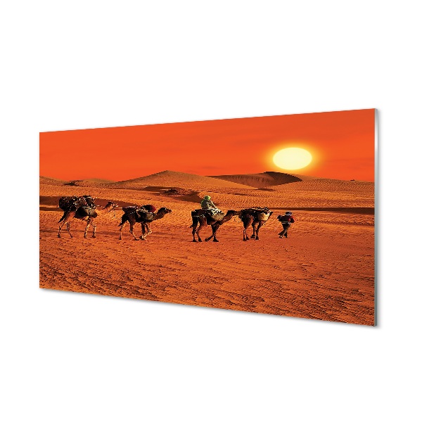 Glass print Camels sky sun desert people