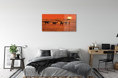 Glass print Camels sky sun desert people