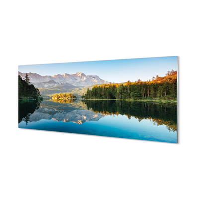 Glass print Lake forest germany mountain