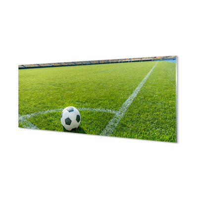 Glass print Football stadium grass