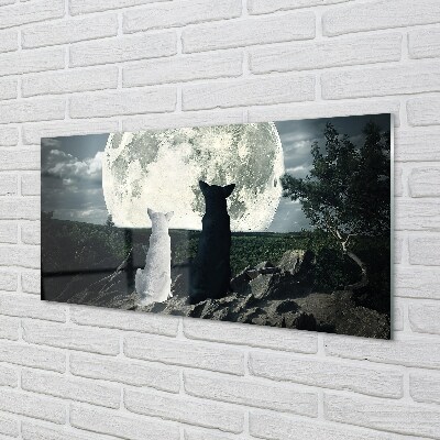 Glass print Wolves moon forest