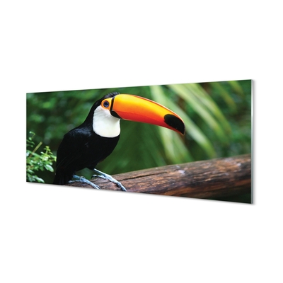 Glass print Toucan on a branch