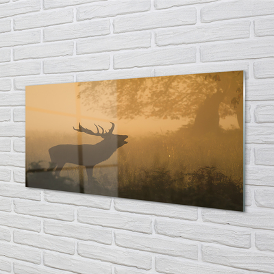 Glass print Rising of the sun deer