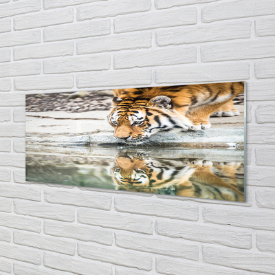 Glass print Tiger drink