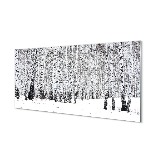 Glass print Winter birch