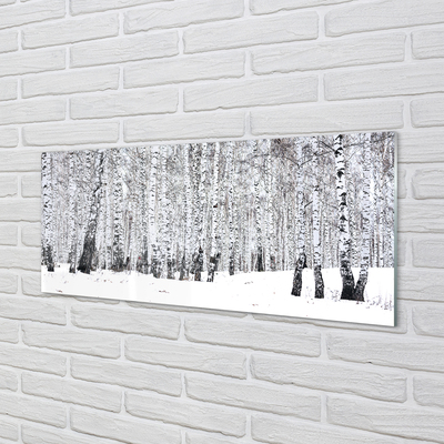 Glass print Winter birch