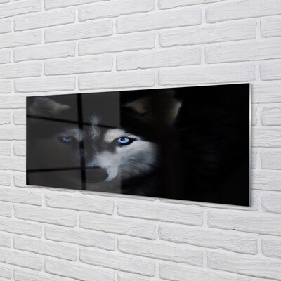 Glass print Wolf eyes