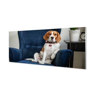 Glass print Sit dog