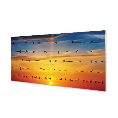 Glass print Birds on sunset ropes
