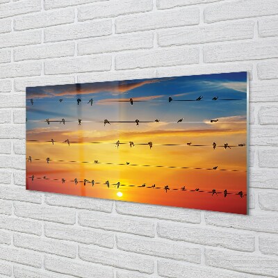 Glass print Birds on sunset ropes