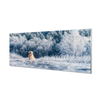 Glass print Winter mountain dog