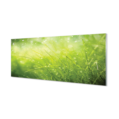 Glass print Dewdrops on grass