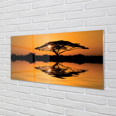 Glass print Tree sunset