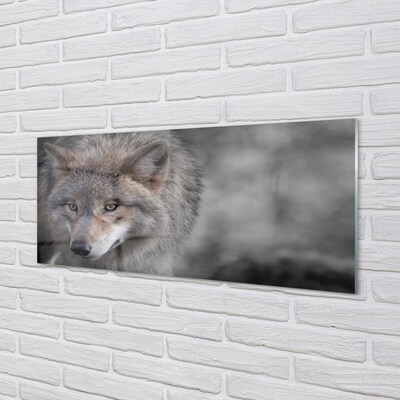 Glass print Wolf