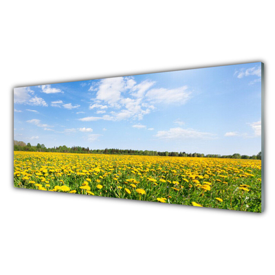 Glass Print Dandelion meadow landscape yellow blue