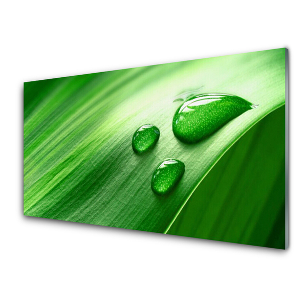 Glass Print Leaf water droplets floral green