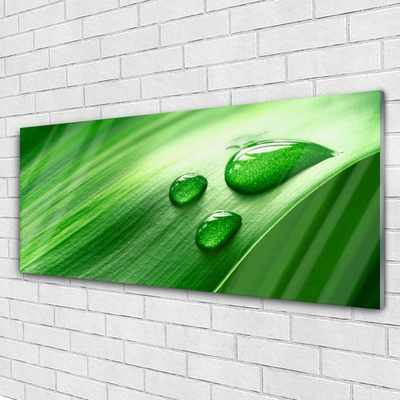 Glass Print Leaf water droplets floral green